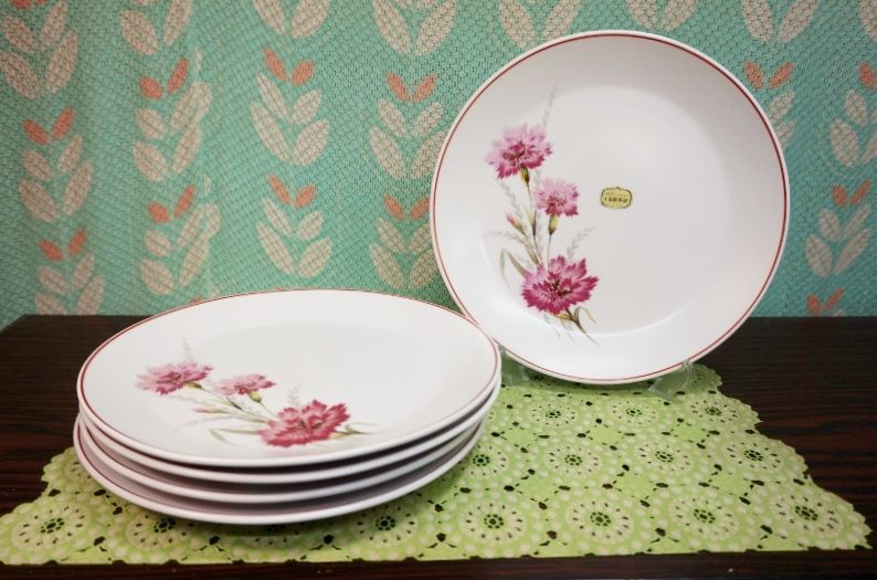 Noritake ノリタケ プログレッションチャイナ 21cmプレート皿5枚セット 花柄 カーネーション N404