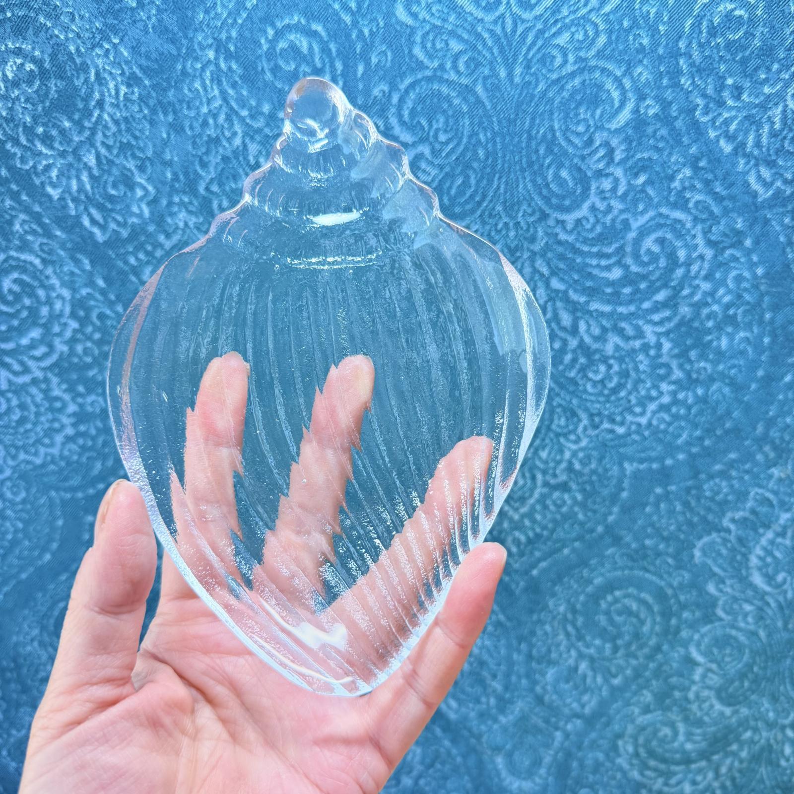 【特大！！】巻貝さん☆　貝殻　エアプランツ　シーグラスアート　標本　巻貝 特大！！】巻貝さん☆ 貝殻 エアプランツ シーグラスアート 標本